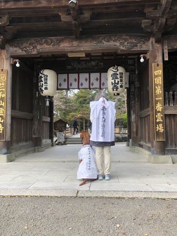 ペット用お遍路白衣さんや袋付き&輪袈裟　大型わんちゃん用　3点セット