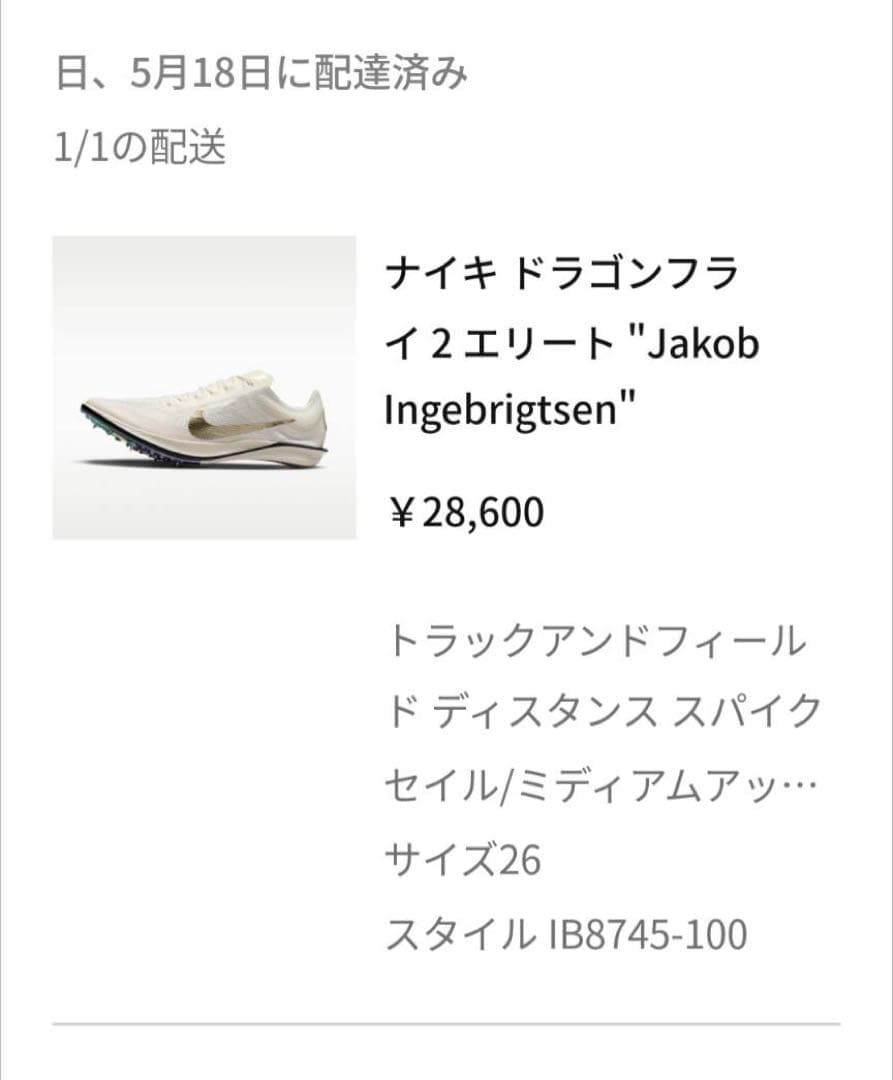 Nike ドラゴンフライ2エリートインゲブリクトセンモデル