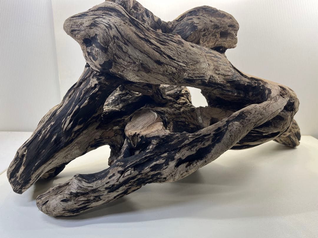 m46特大流木 大型流木 アク抜き済み 爬虫類シェルター レイアウト用 隠れ家