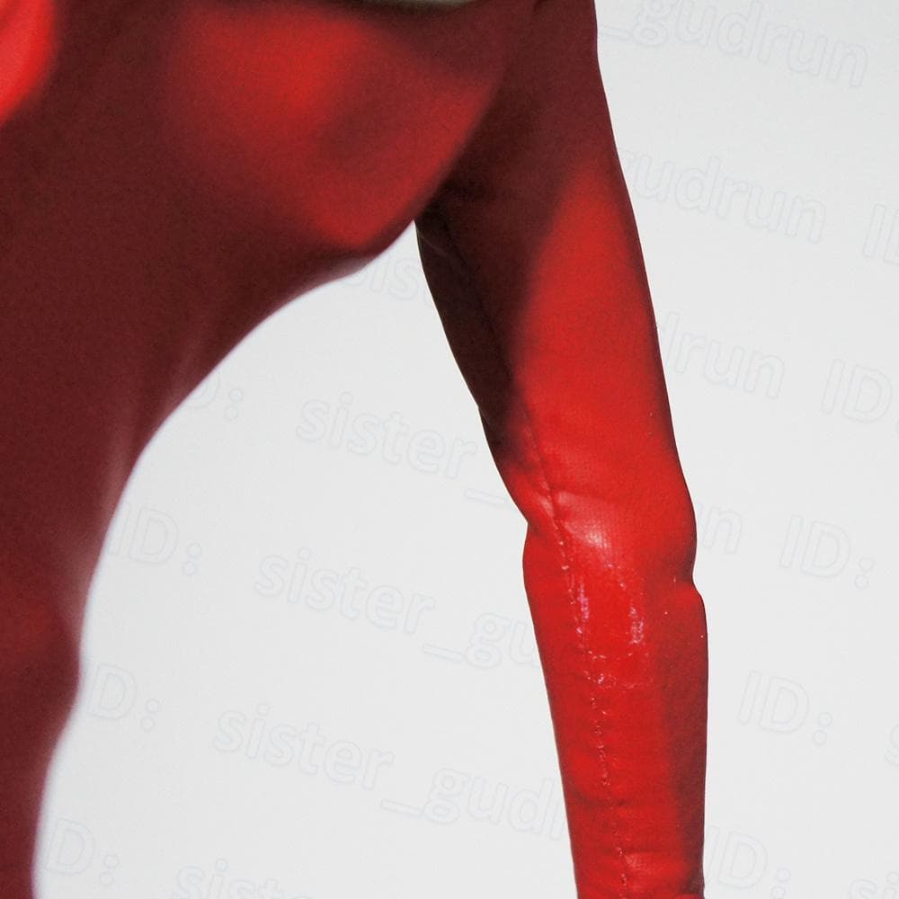 【概ね美品】　RAH　ウルトラマンレオ　1/6 フィギュア