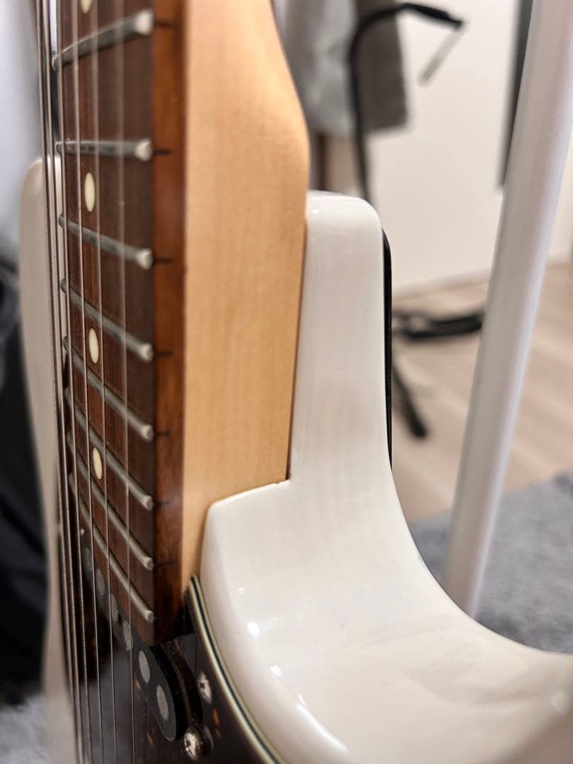 SCHECTER ( シェクター ) PA-LS/TK