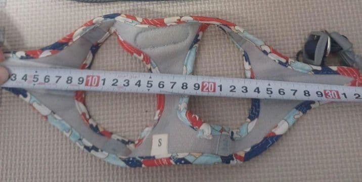 子犬セット　Wi-Fiペットカメラおまけ