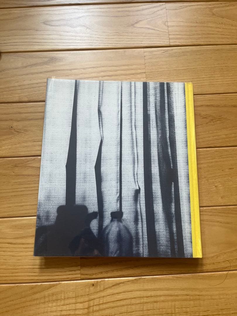 hysteric sixteen 植田正治「小さい伝記」　写真集