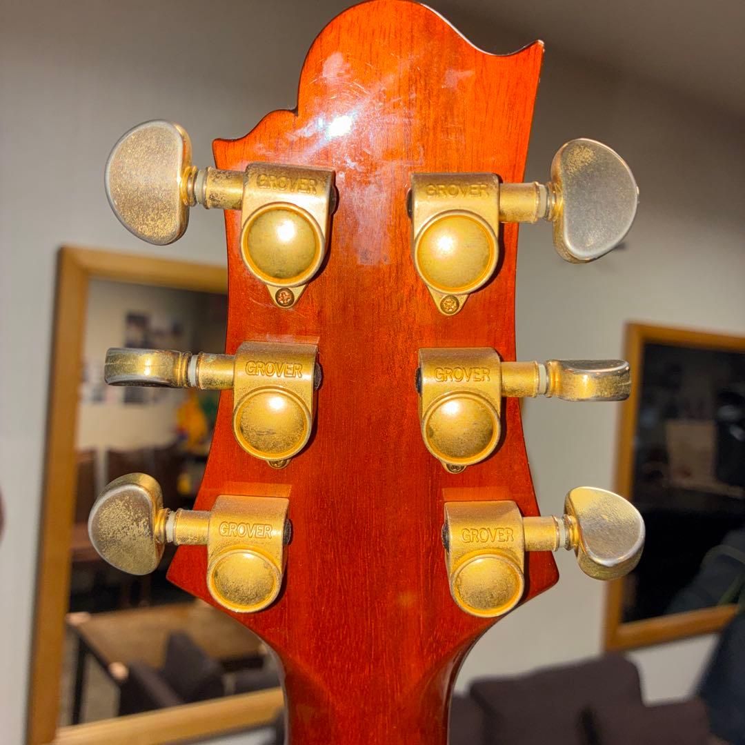 Greg Bennett D-8 アコースティックギター