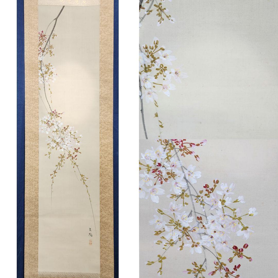 【朧月夜桜図】今井景樹 2702 おぼろ月 さくら 共箱 肉筆 掛け軸