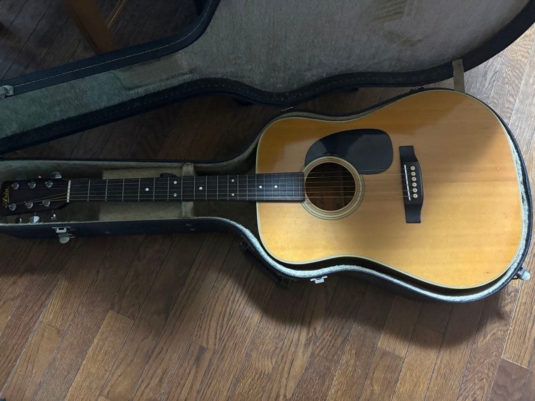 アコースティックギター ドレッドノートタイプ
