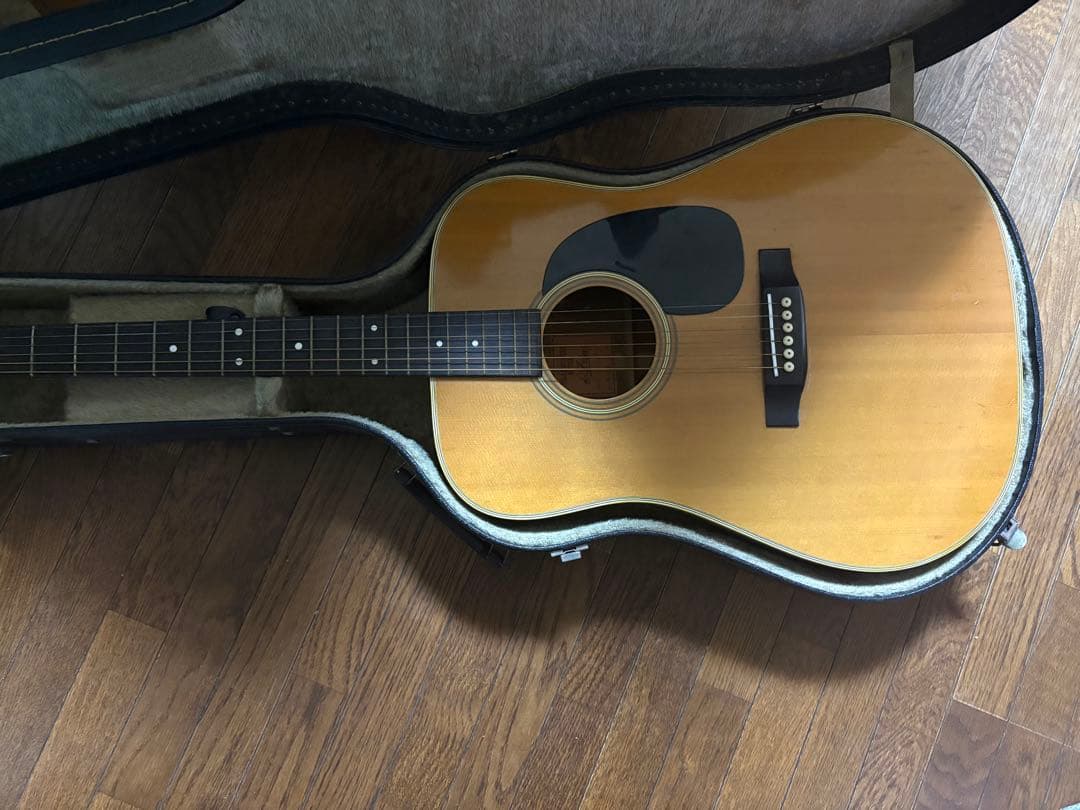アコースティックギター ドレッドノートタイプ