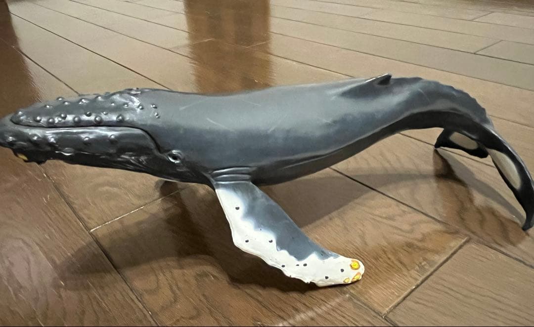 鯨　フィギュア　模型　ザトウクジラ　置物