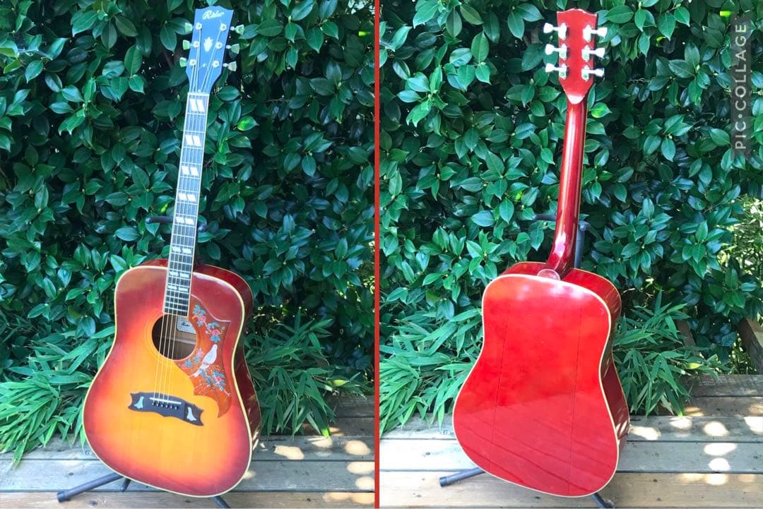 Rider J-300DS Model ライダー 林楽器