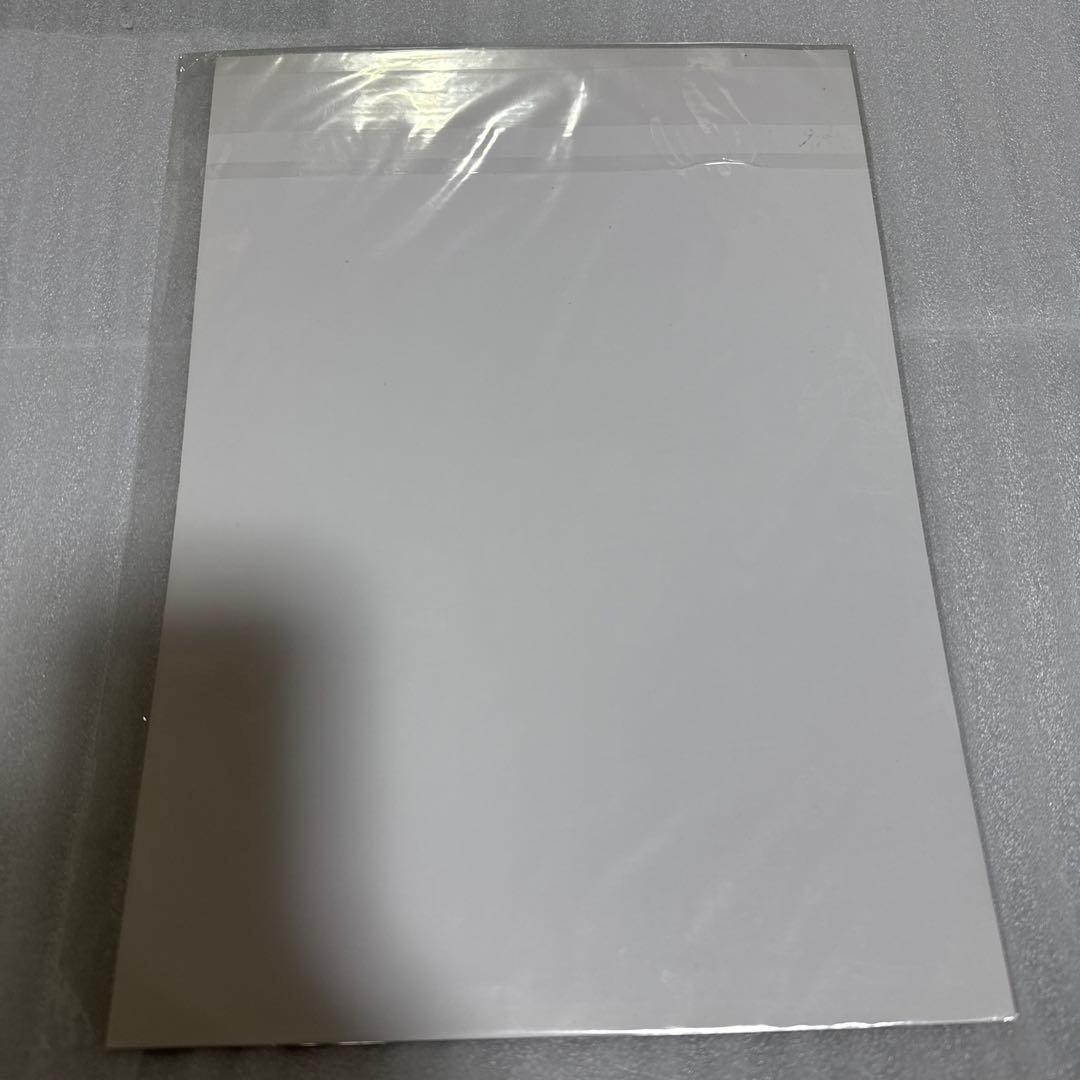 超貴重 ワンピース アニメイト 特典 ピンナップ 激レア