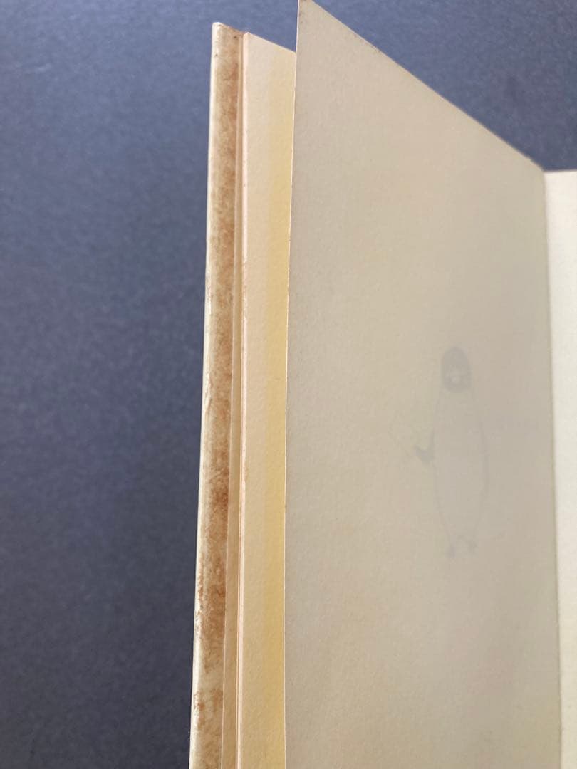 Suica イオカード　非売品　未使用　JR東日本　　　限定　希少