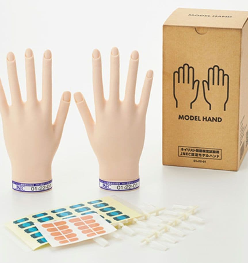 MODEL HAND ネイルアート練習用 2個セット