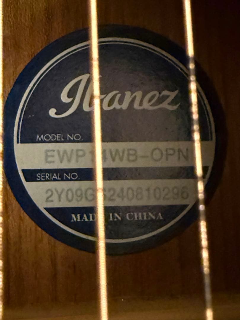 Ibanez EWP14WB ピッコロギター ケース&替えの弦付 送料込み