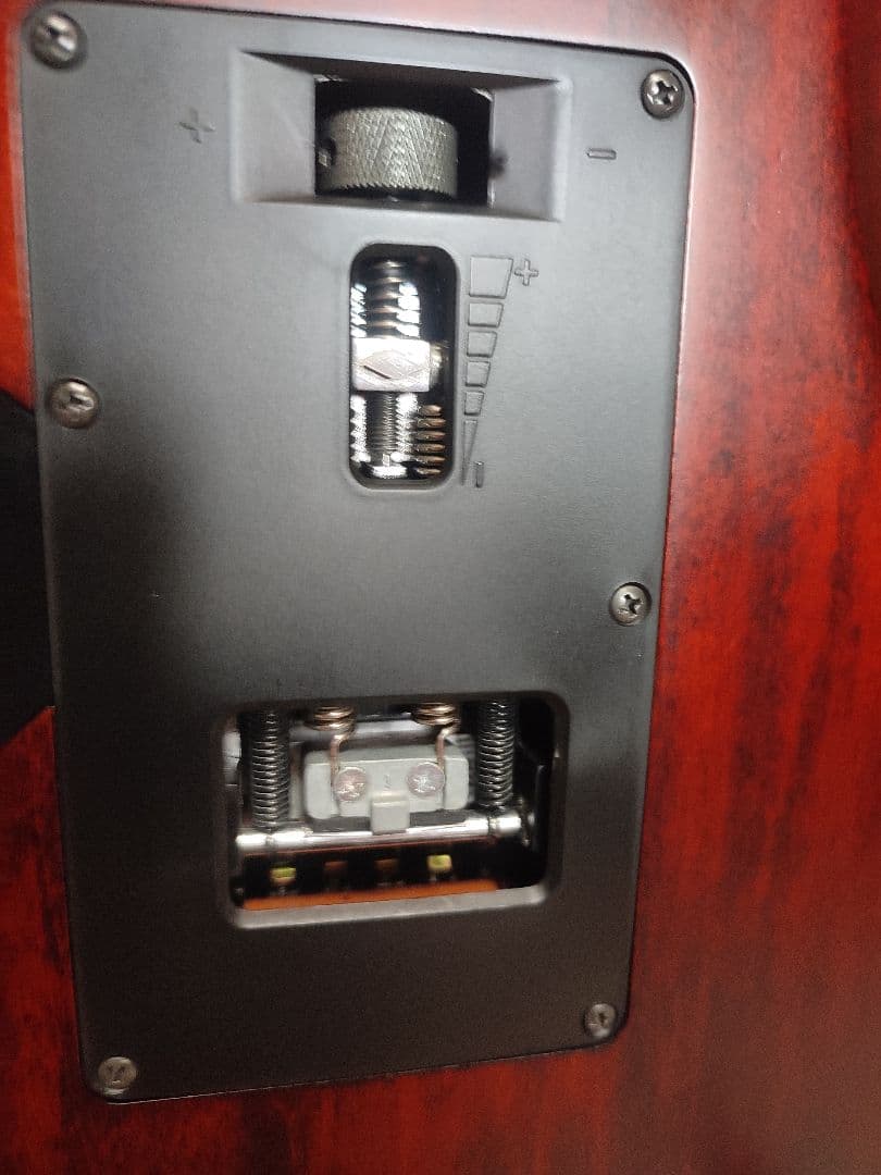 IBANEZ RG870RWZ premium　アメリカ/ヨーロッパ限定モデル