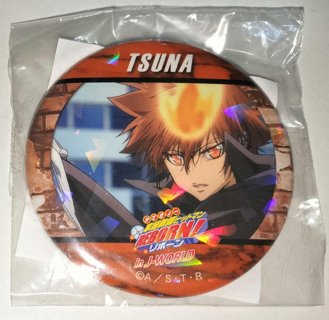 リボーン 沢田綱吉 ホログラム缶バッジ その1 J-WORLD