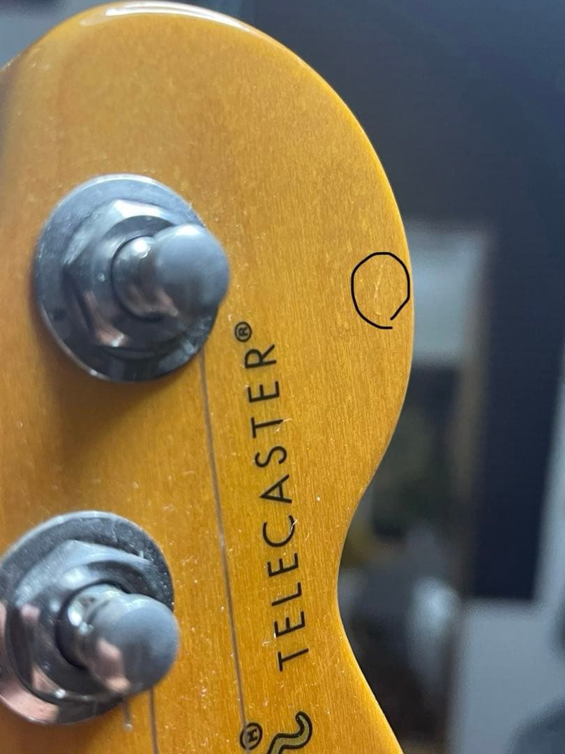 fender American professional ii テレキャスター