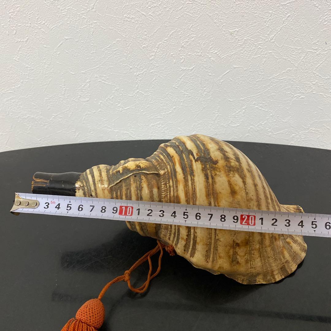 時代物 法螺貝 密教法具 武具 甲冑