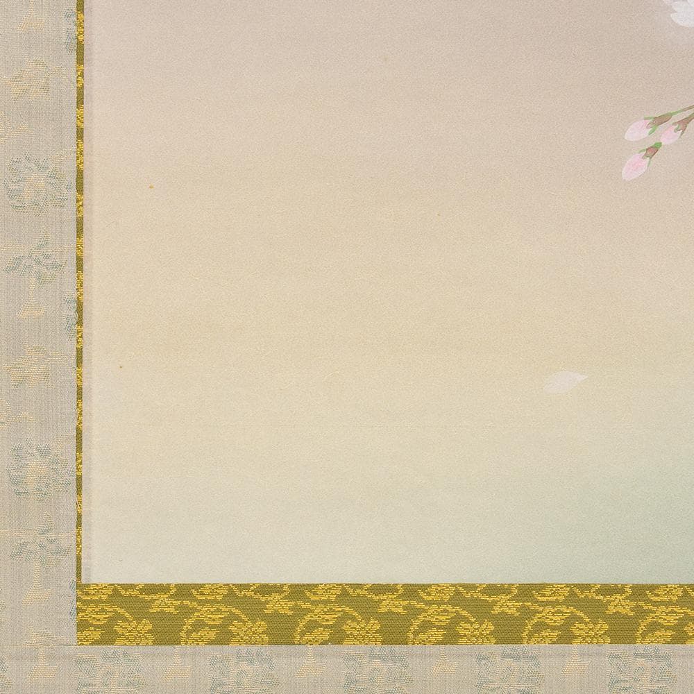 ※Tsutsuzi Sato　掛軸 横幅 水越由喜「桜」共箱