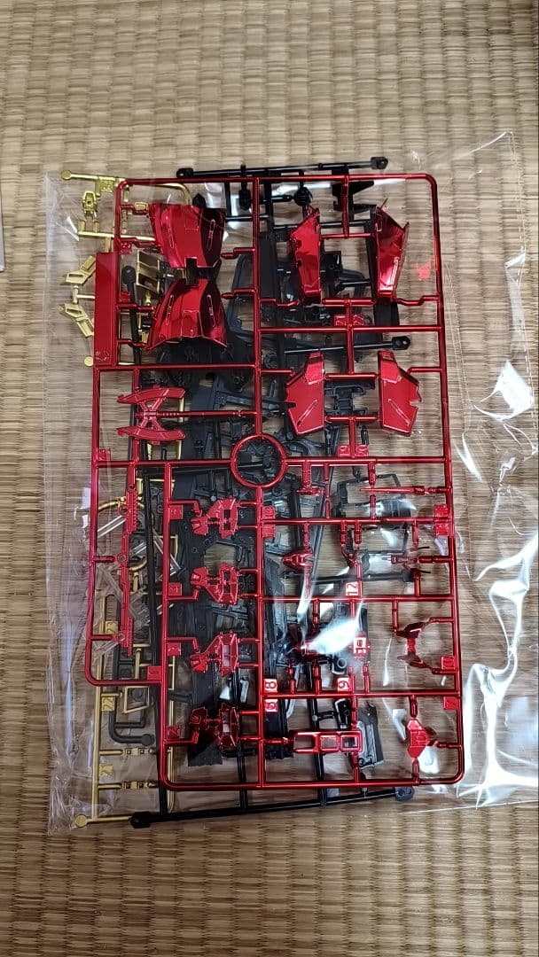 RG 1/144 沙扎比　赤メッキ色