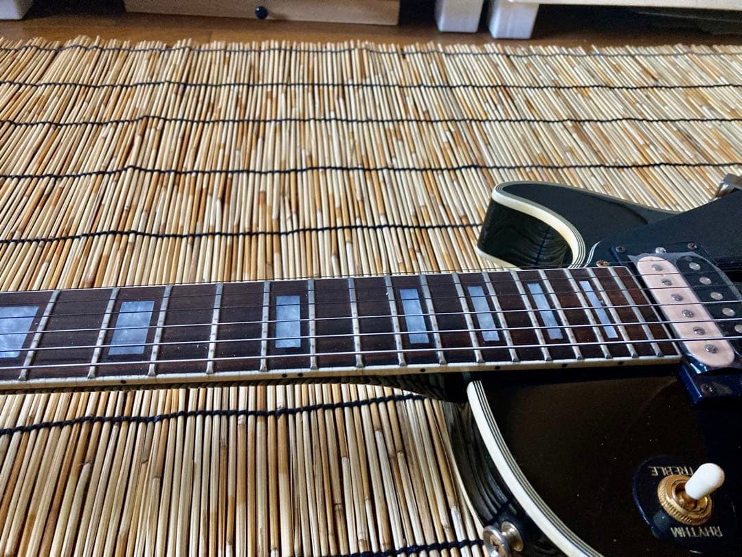 ☆ビンテージ+新機能　東海楽器の海外ブランドGESSION LP