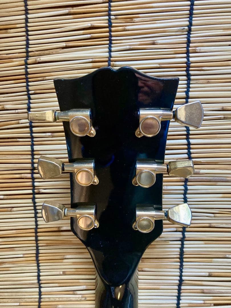 ☆ビンテージ+新機能　東海楽器の海外ブランドGESSION LP