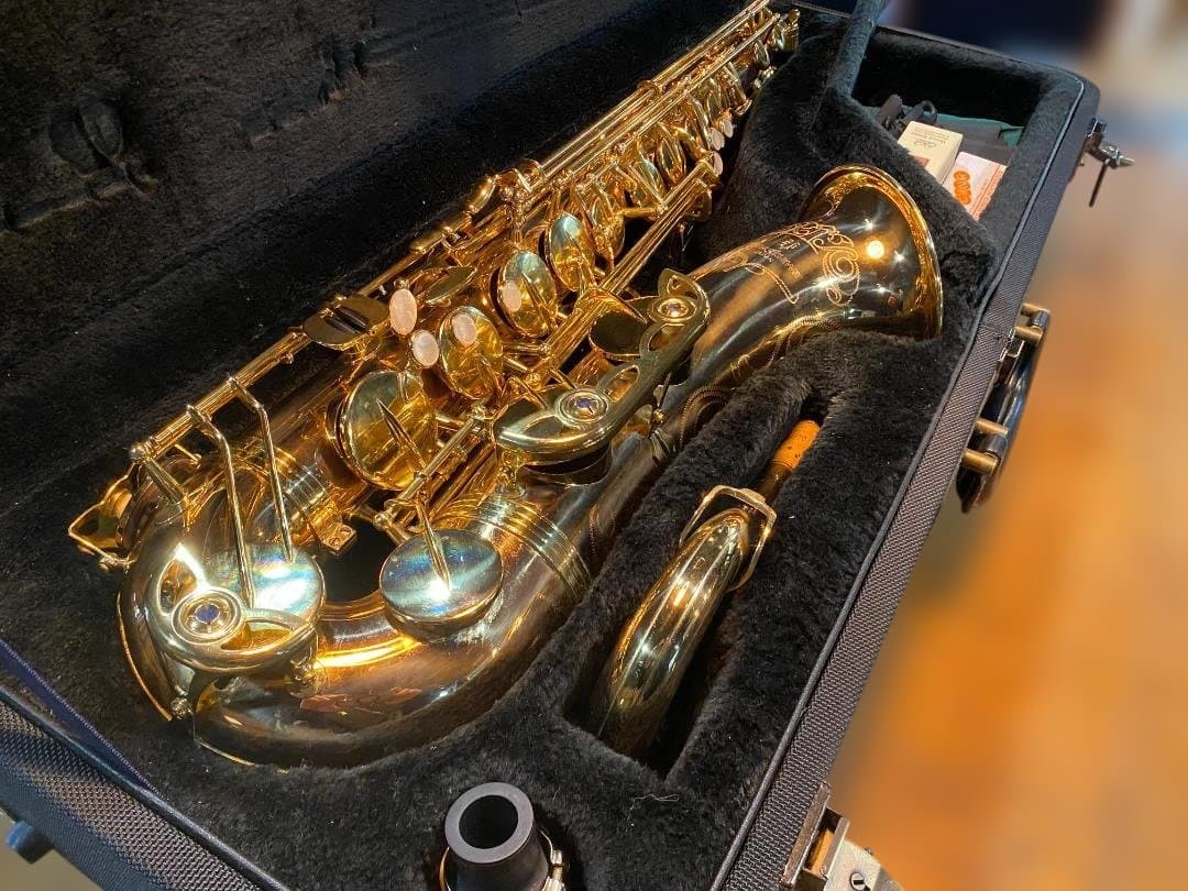 テナーサックス ヤナギサワ Yanagisawa T-WO20（ブロンズ）