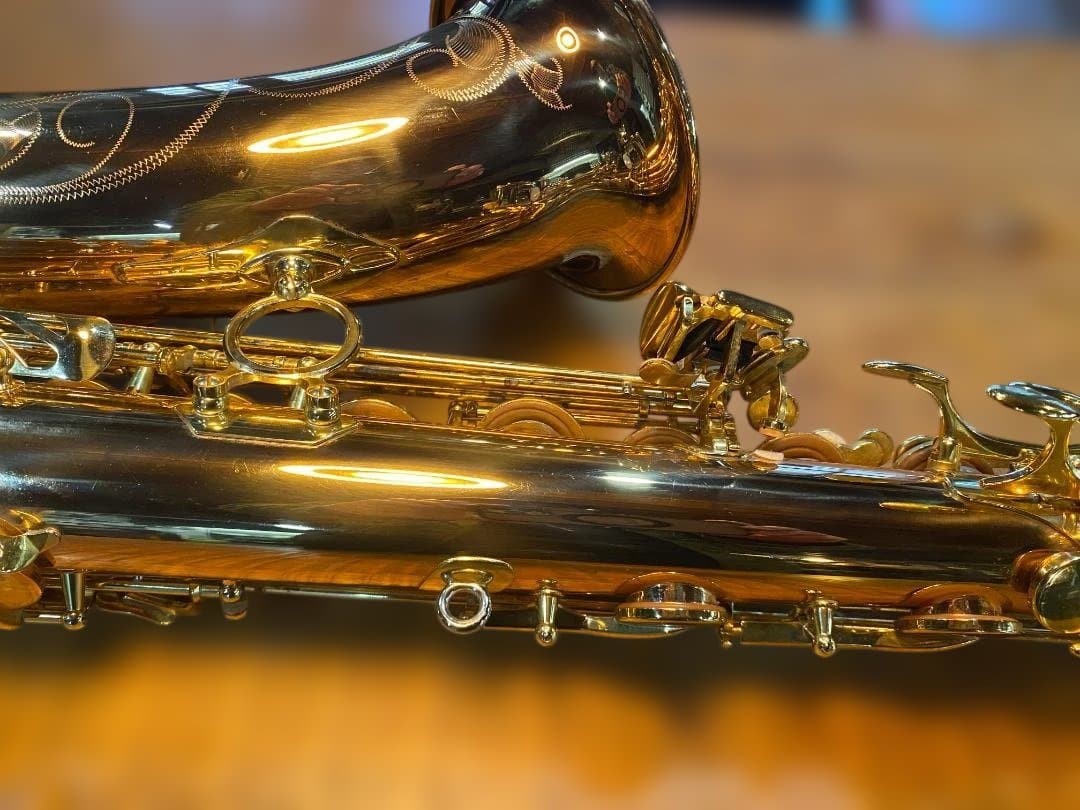 テナーサックス ヤナギサワ Yanagisawa T-WO20（ブロンズ）