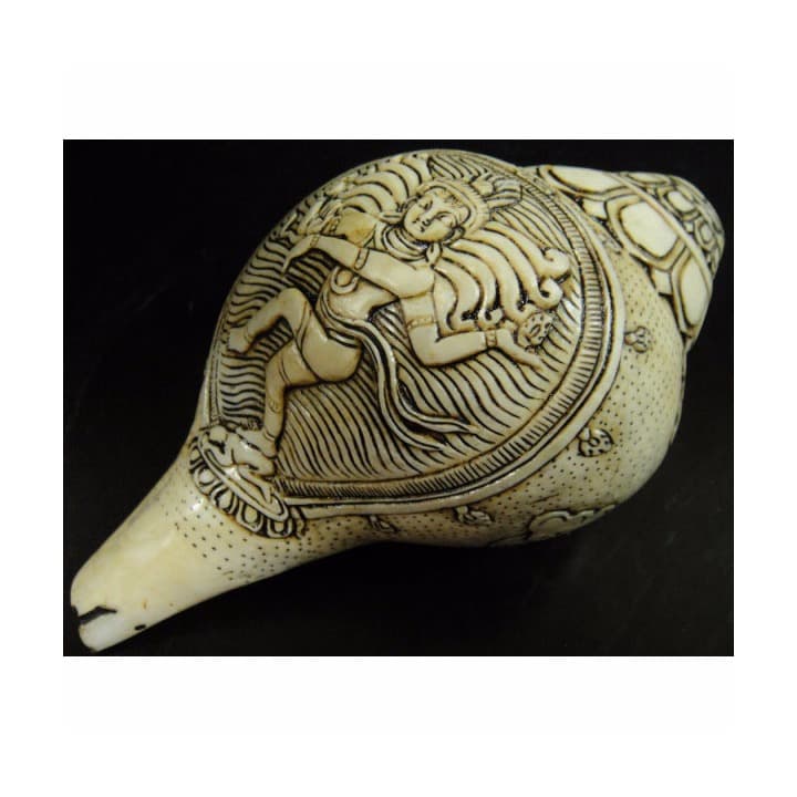 ◆チベット密教法具　法螺貝（シャンカ）ナタラージャ（ダンシングシヴァ）1