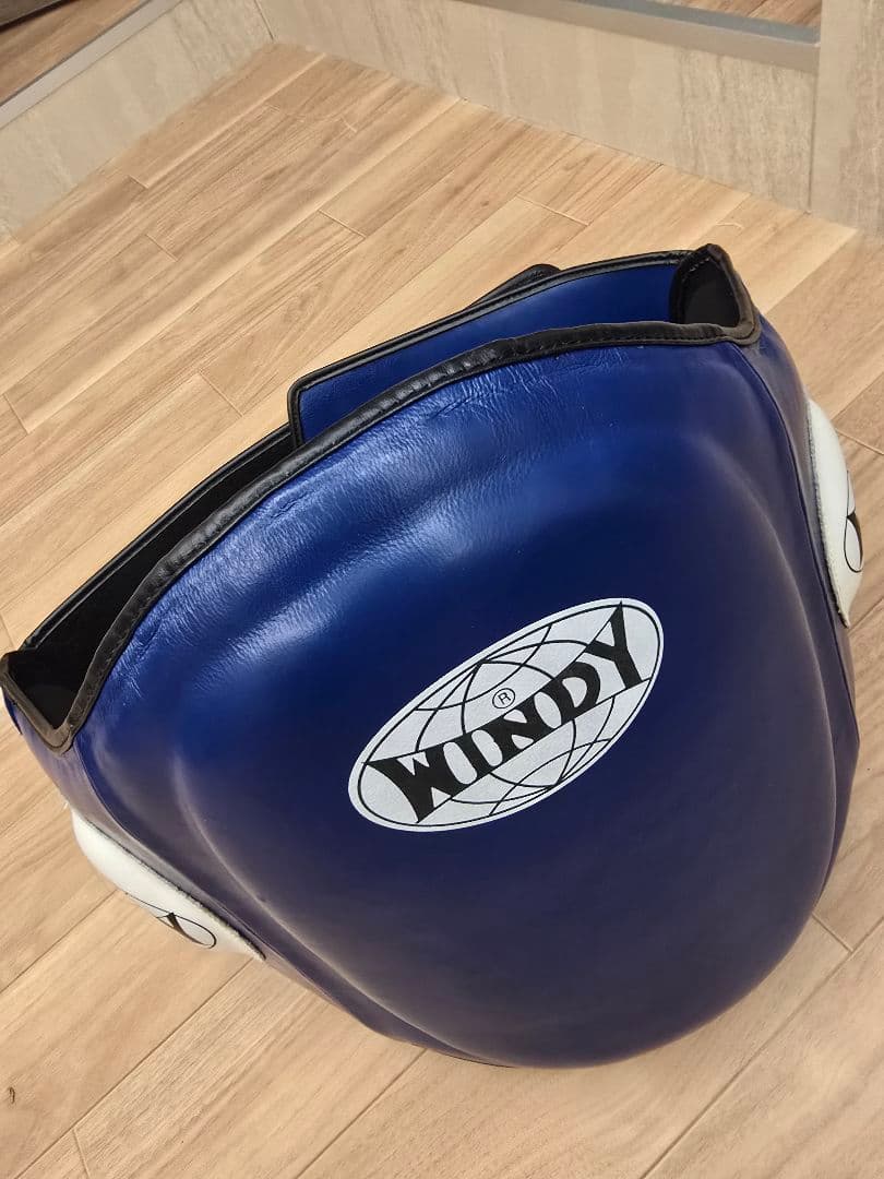 WINDY ボディープロテクター 青 M