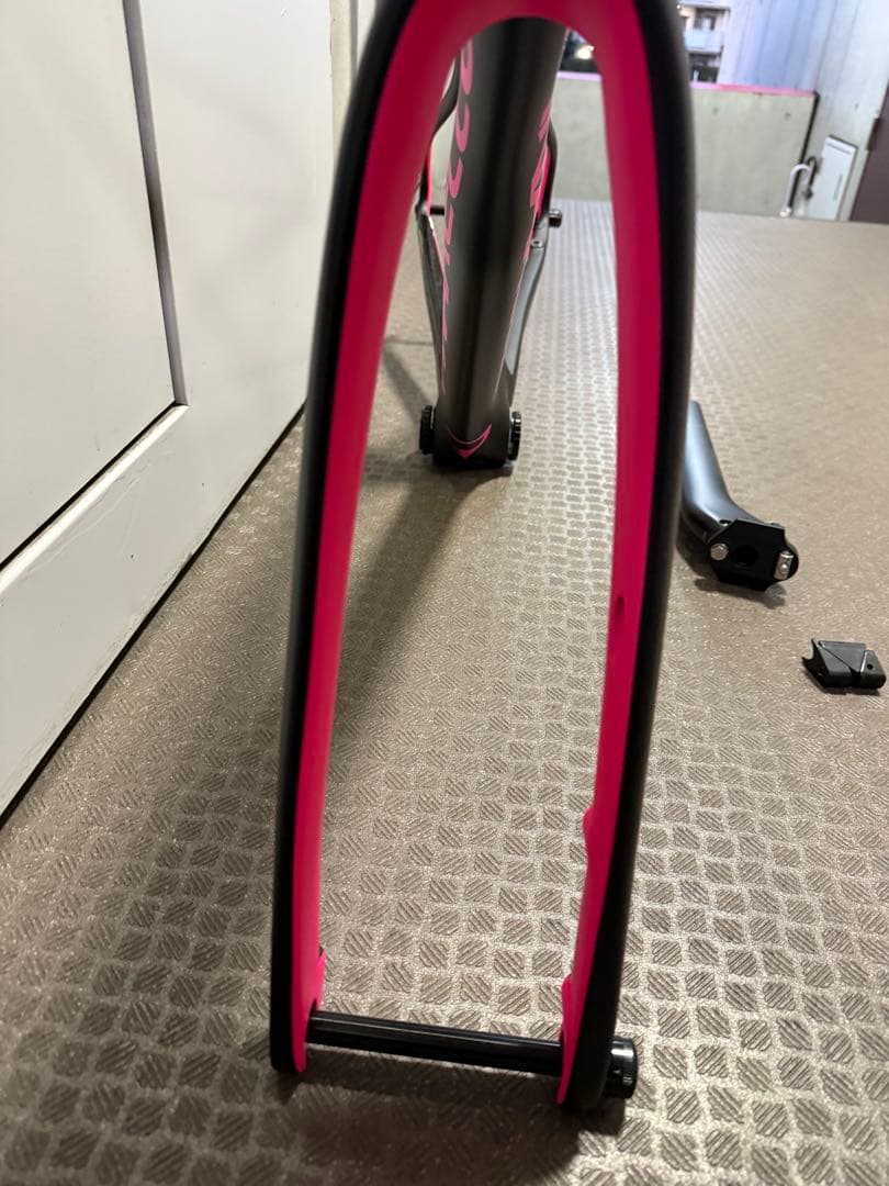 Pinarello Prince フレーム