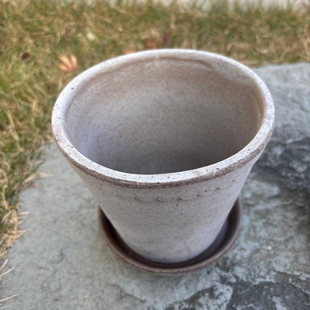 バーグスポッター　ヘレナ14 ⌘2個セット⌘