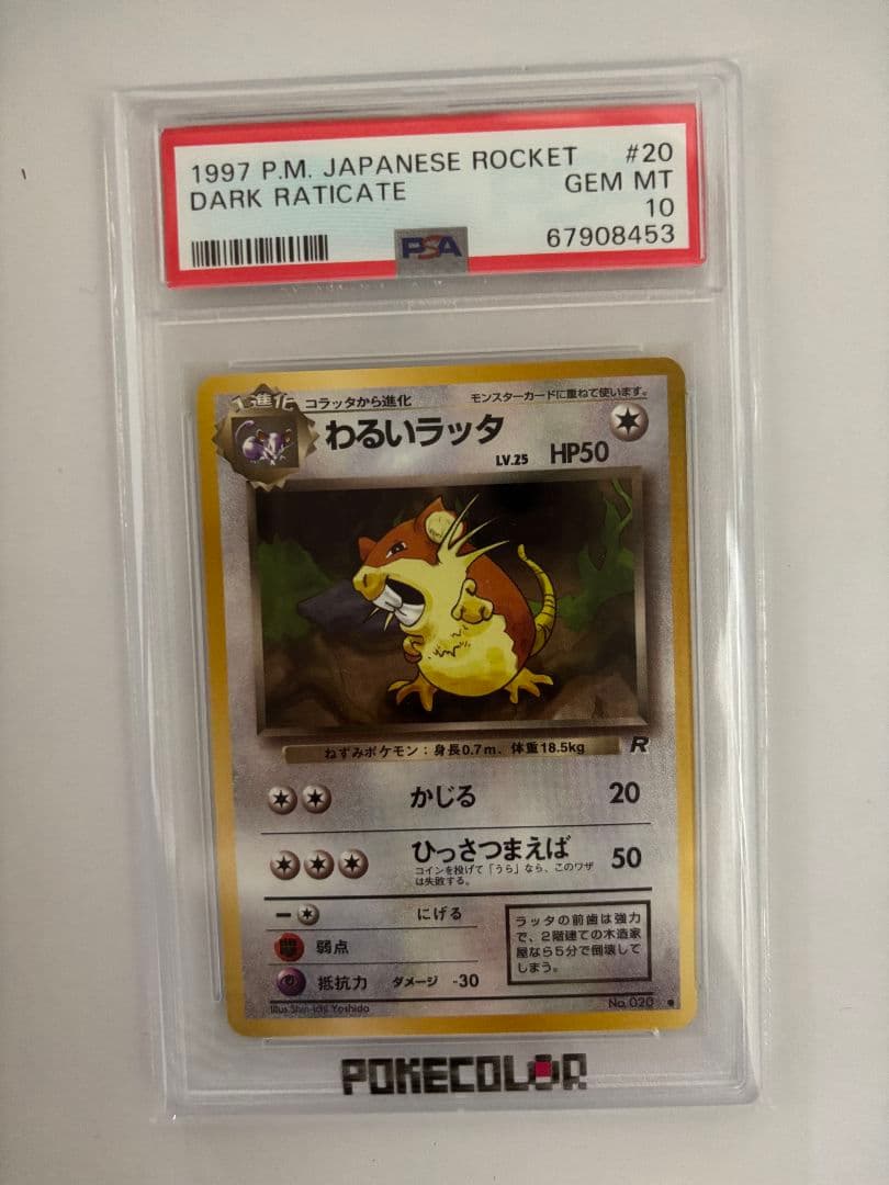 1997 P.M. Japanese Rocket #20 ダークラッタケ