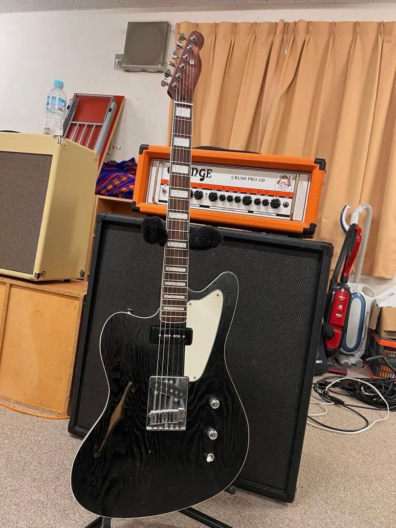 如*。様 Telemaster custom made model