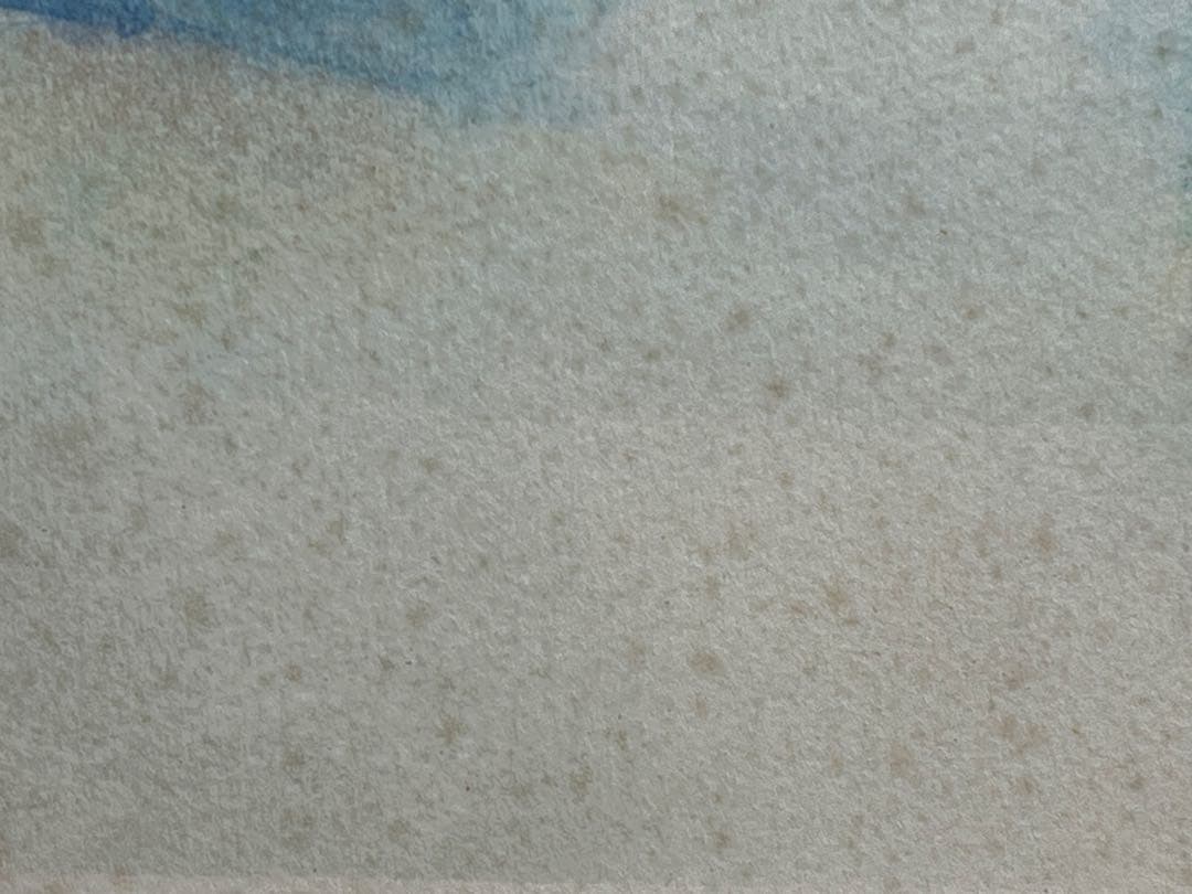 真作保証 クロード・ガヴォー 「ベニスの朝」 リトグラフ 限定220枚