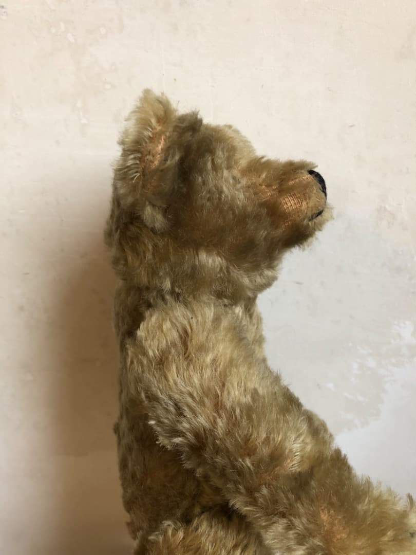 1920s クラシックシリーズ テディベア レプリカ シュタイフSteiff