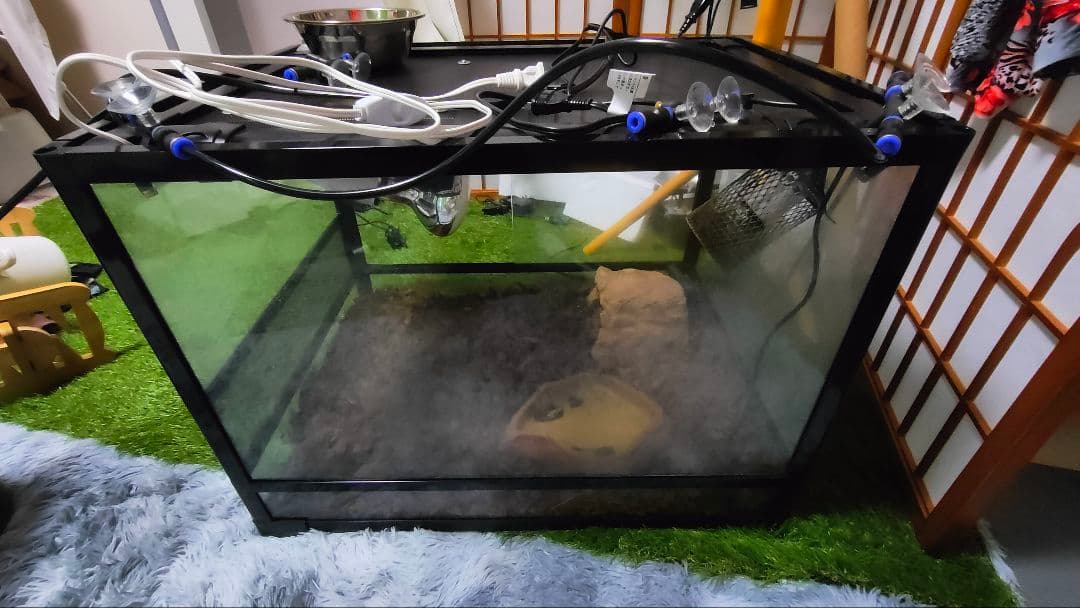 爬虫類飼育設備3点セット(飼育箱+LEDライト+保温球)