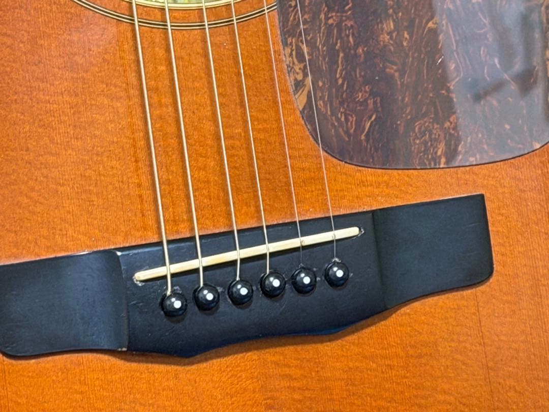 出会った時が最後のチャンス！トップ単板SBハカランダ美品