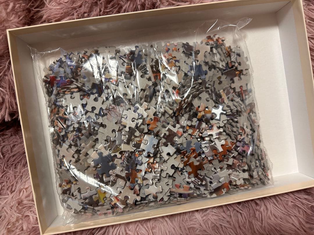 ジグソーパズル Nissy entertainment 10thanniversary