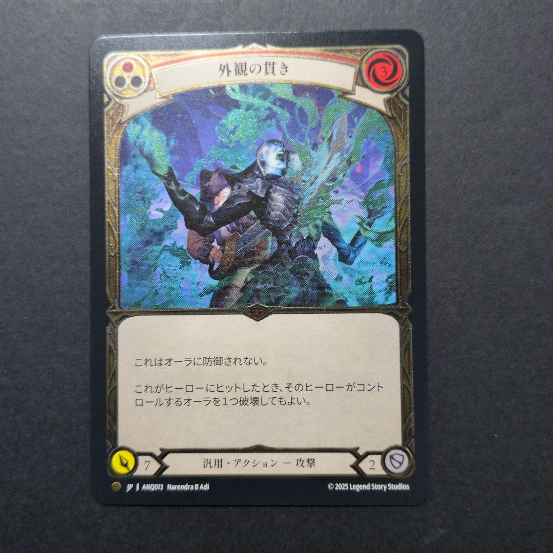 外観の貫き CF fab