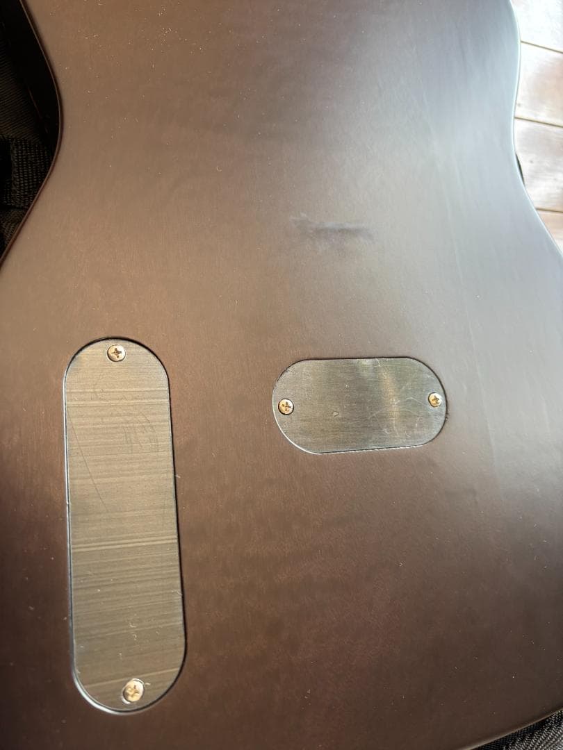 【中古品】SCHECTER（シェクター）エレアコ OL-FL-P