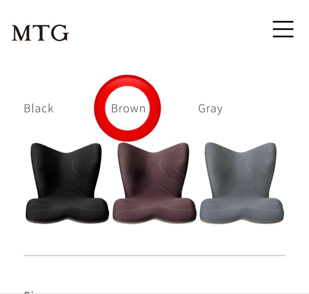 【新品未使用】スタイルプレミアム　styleplemium 茶