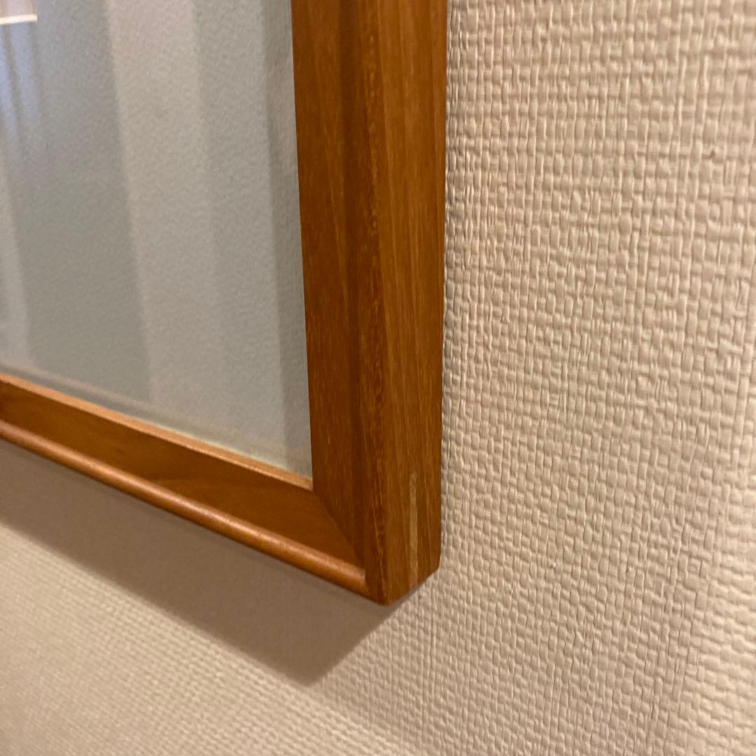 ジョアンフックJ. Allen Hood 鳥と植物の【額込】