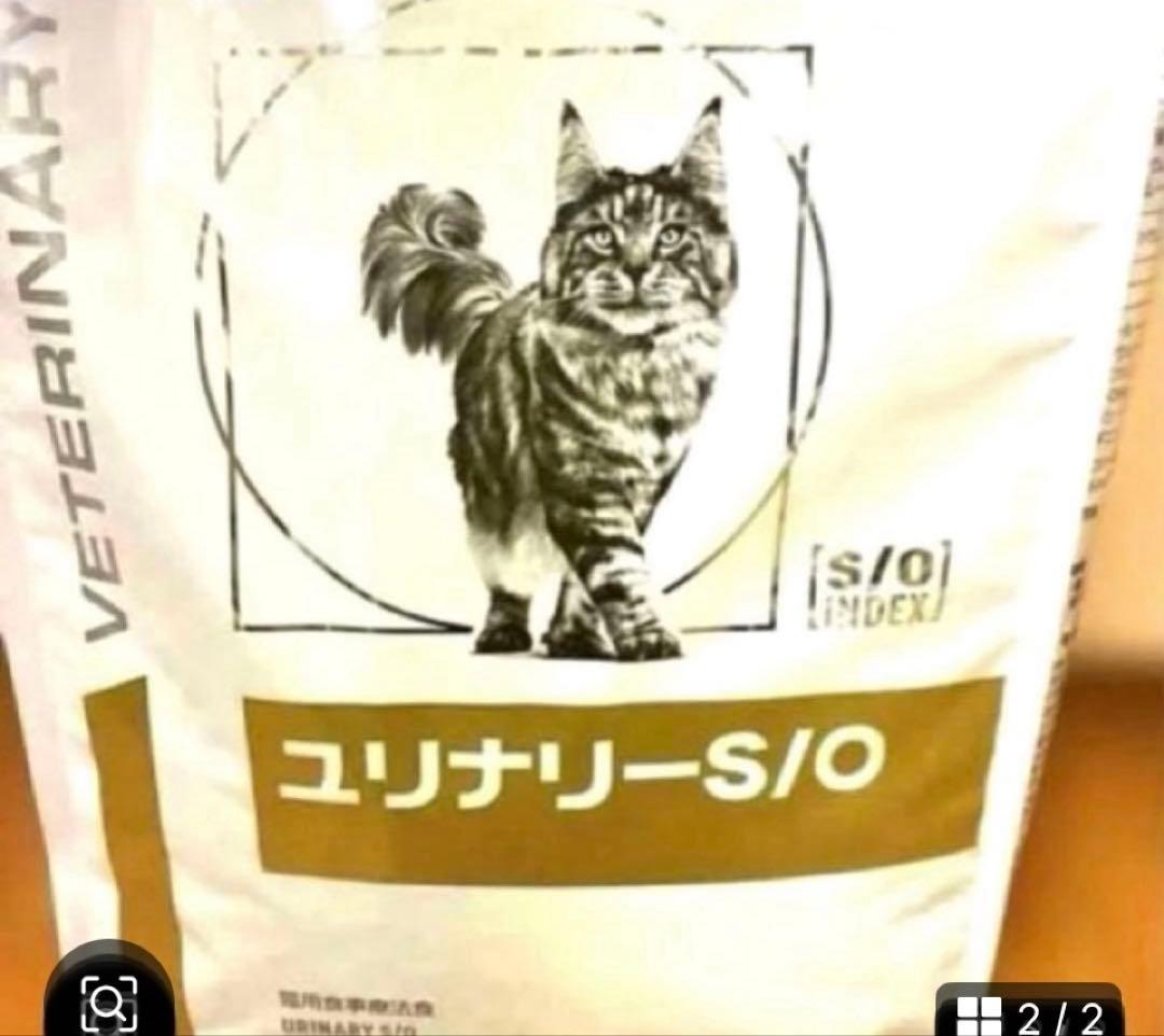 ロイヤルカナン ユリナリー-S/O 4kg×2