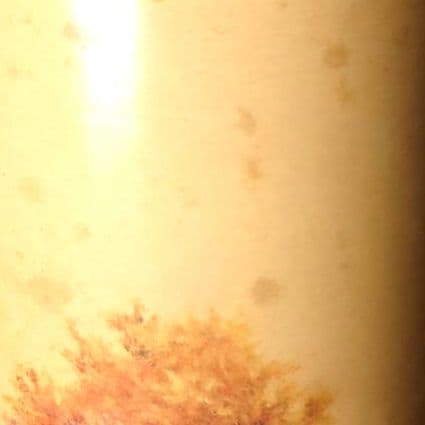 【ビンテージ】94年製ワイルドターキー 12年 ビヨンドデュプリケーション