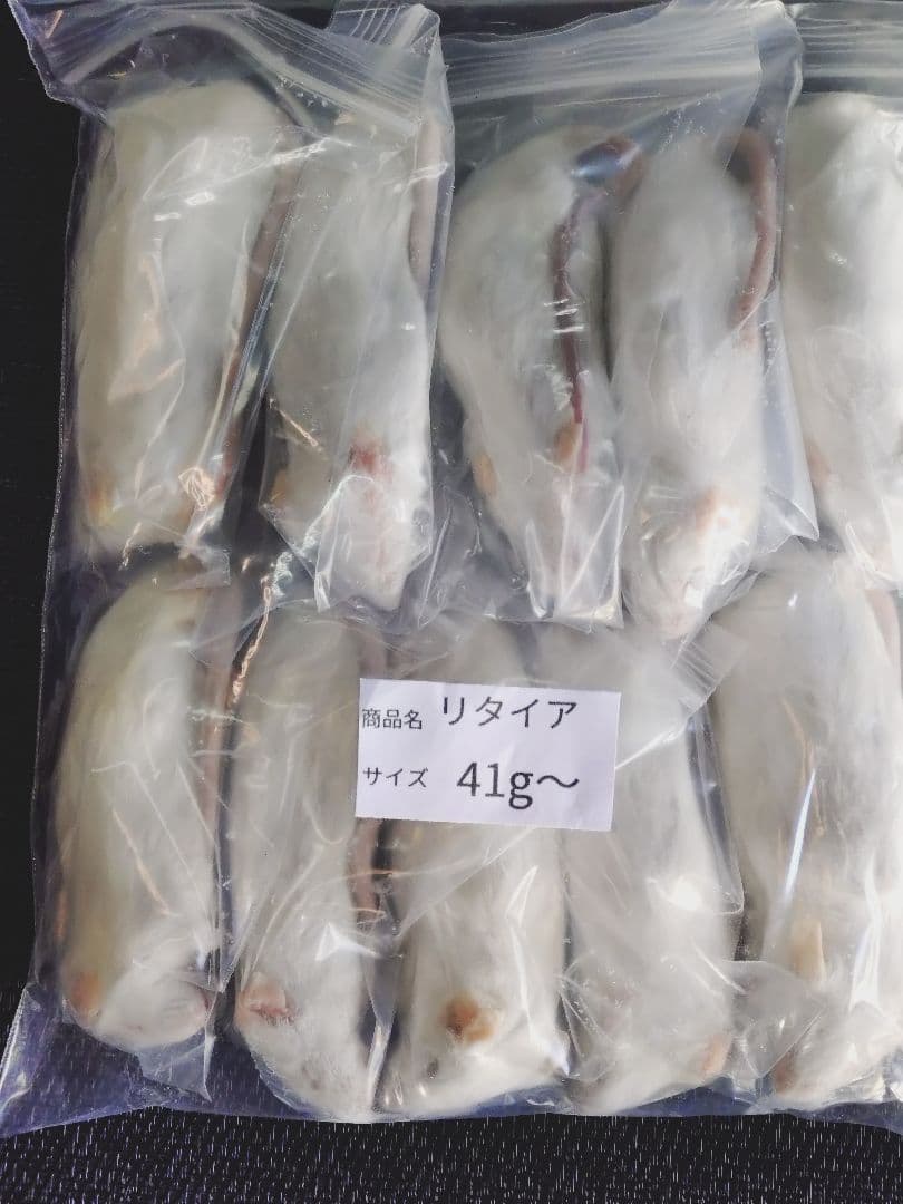 送料無料 冷凍マウスリタイア50匹