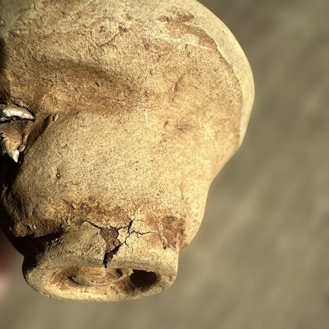 楽山焼　二六焼　水月焼　お猪口　蟹　酒器