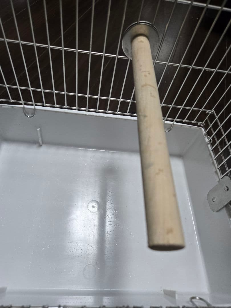 HOEI HOEI ステンレスキャリープレミアム