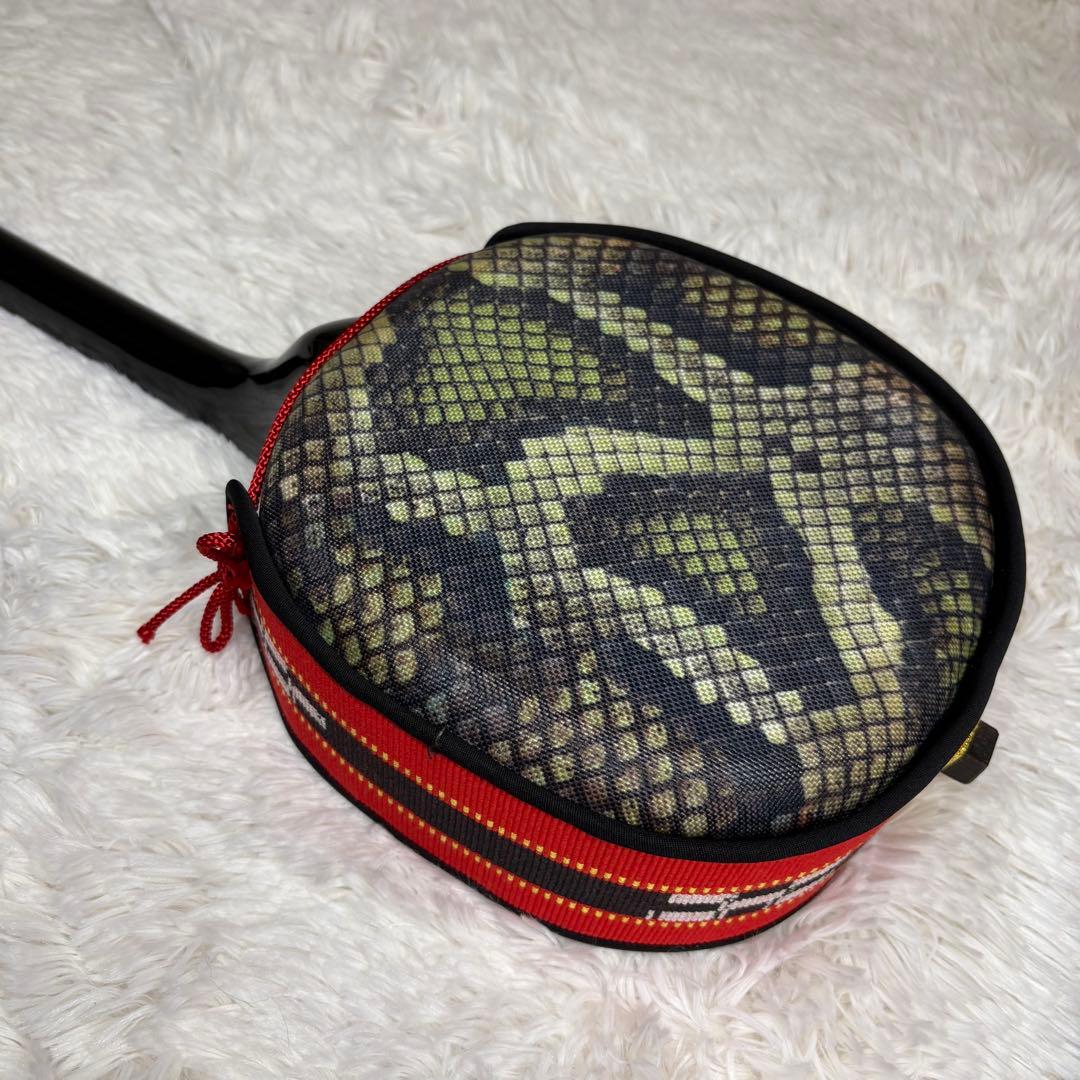 三線 沖縄 人工皮 民謡和楽器 付属品多数　ハードケース付き　蛇皮