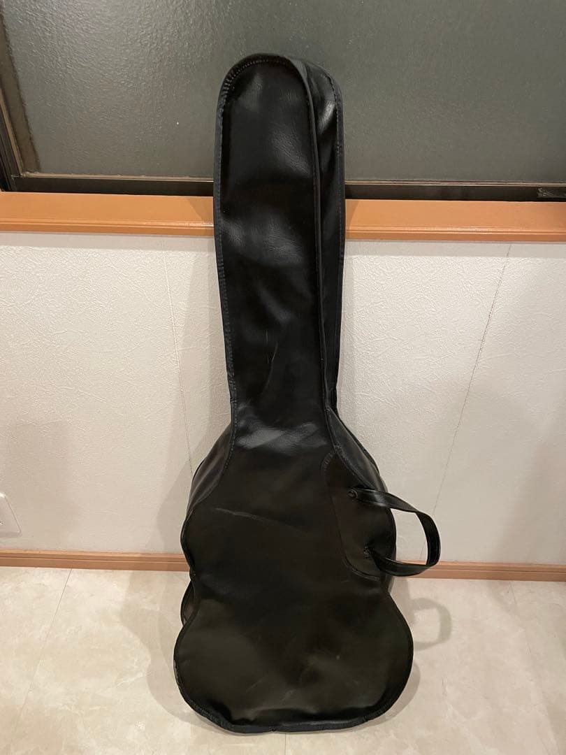 Bacchus　バッカス　ストラトキャスター