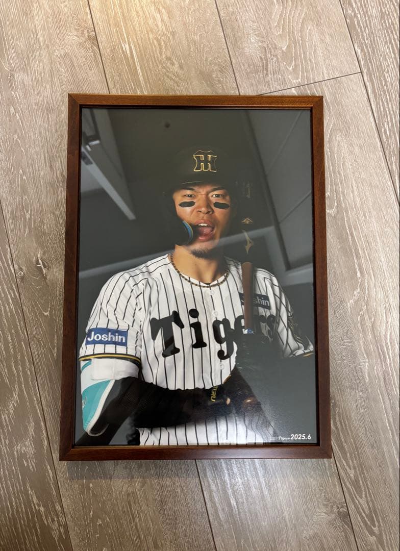 月刊タイガース表紙写真パネル 佐藤輝明